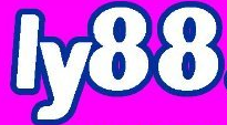 vnly88.com Logo